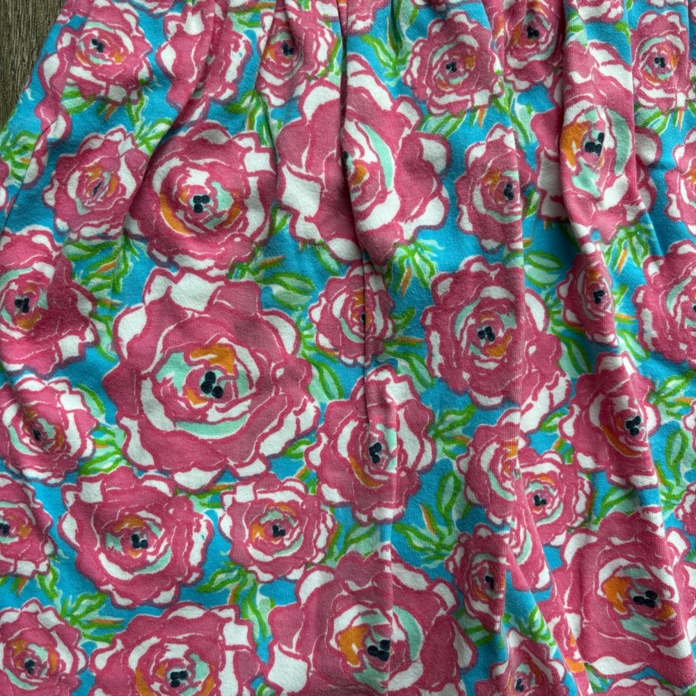Lolly Wolly Doodle Pink and Green Rosette Dress Size 2/3 (XS) - Picture 3 of 5